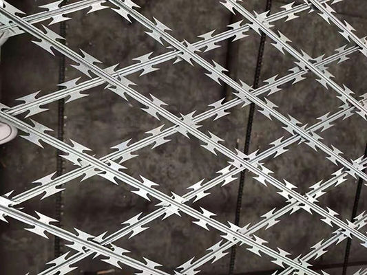 DIN1.4301 συγκολλημένο σύρμα AISI304 Razor Mesh φράχτης προσαρμοσμένο